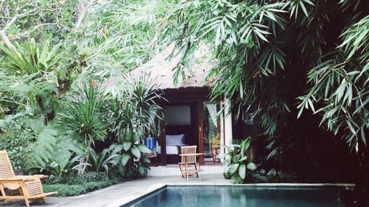 Soft-focus image of a private villa pool surrounded by lush green tropical plants in Ubud, Bali, representing slow travel, calm luxury, and nature-inspired retreats.